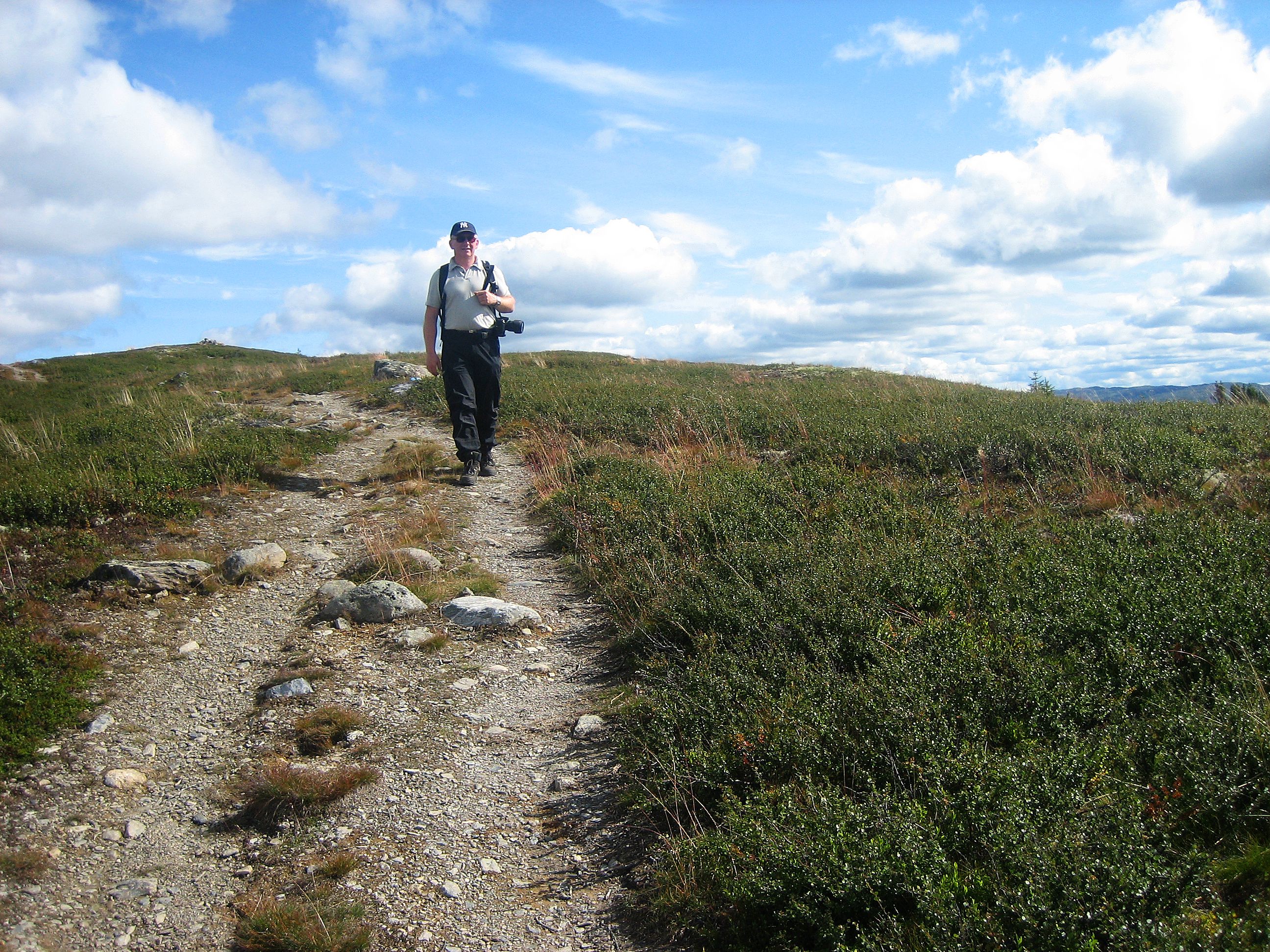 Veslefjell, Golsfjellet