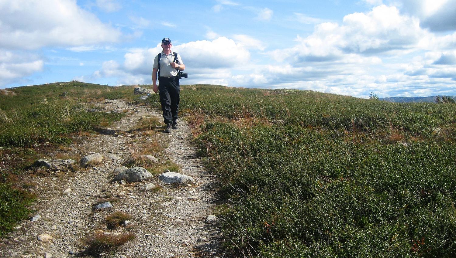 Veslefjell, Golsfjellet