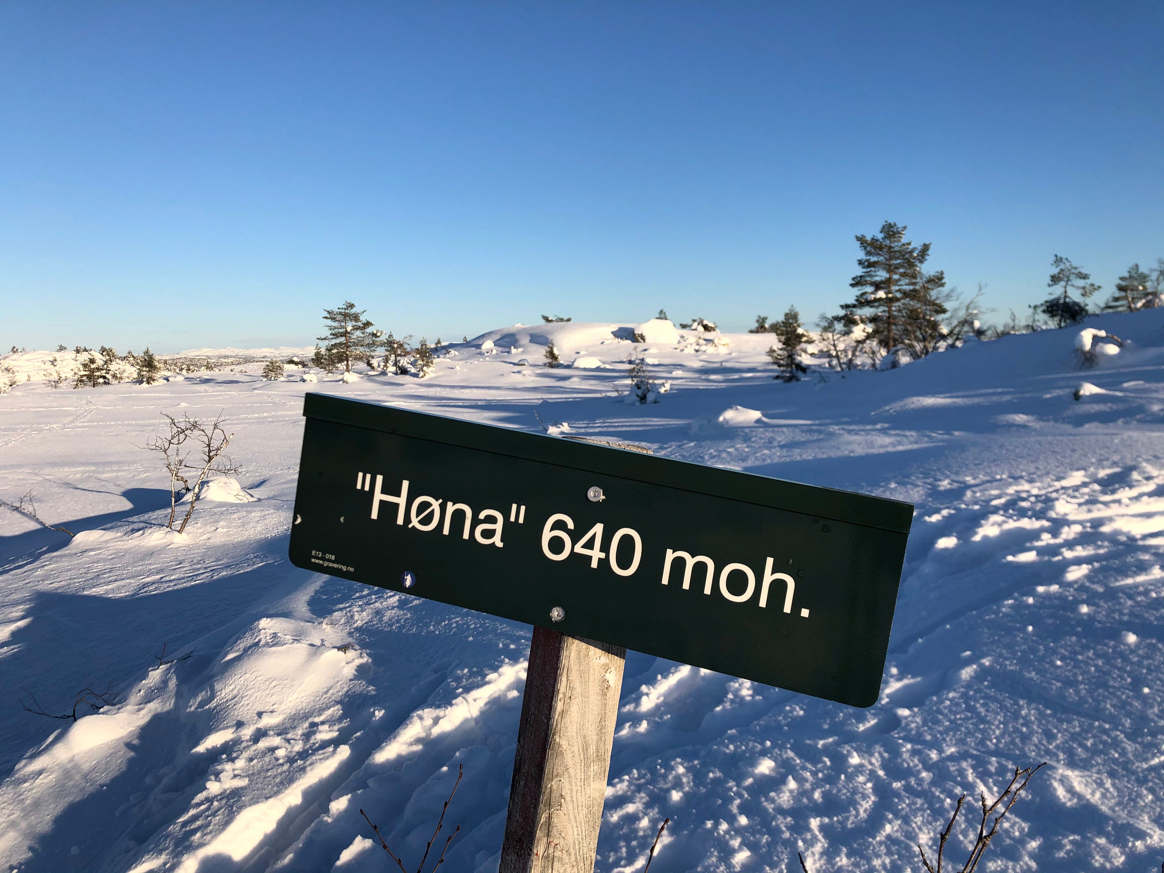 Høna ligger pa° 640 m.o.h