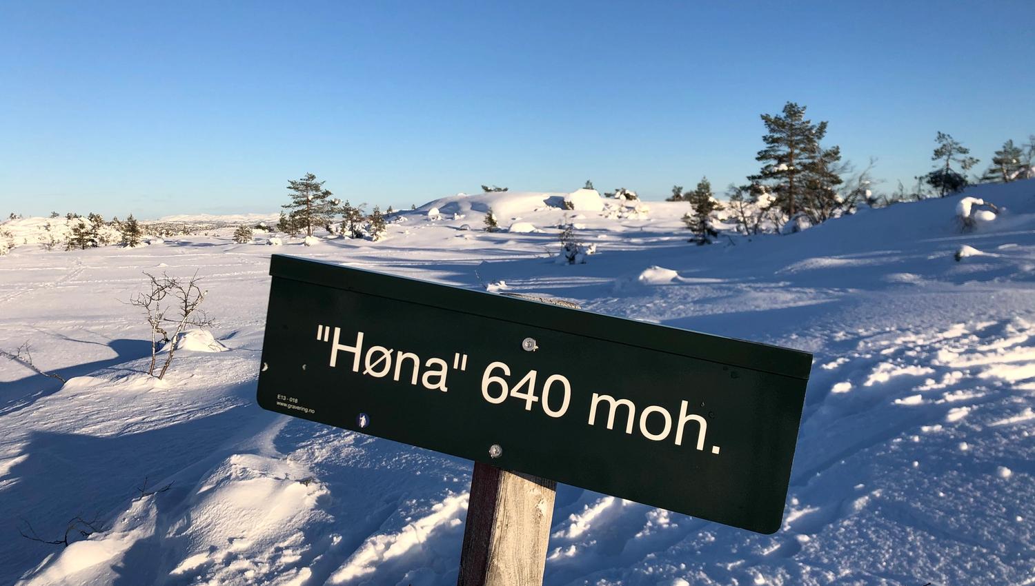 Høna ligger pa° 640 m.o.h