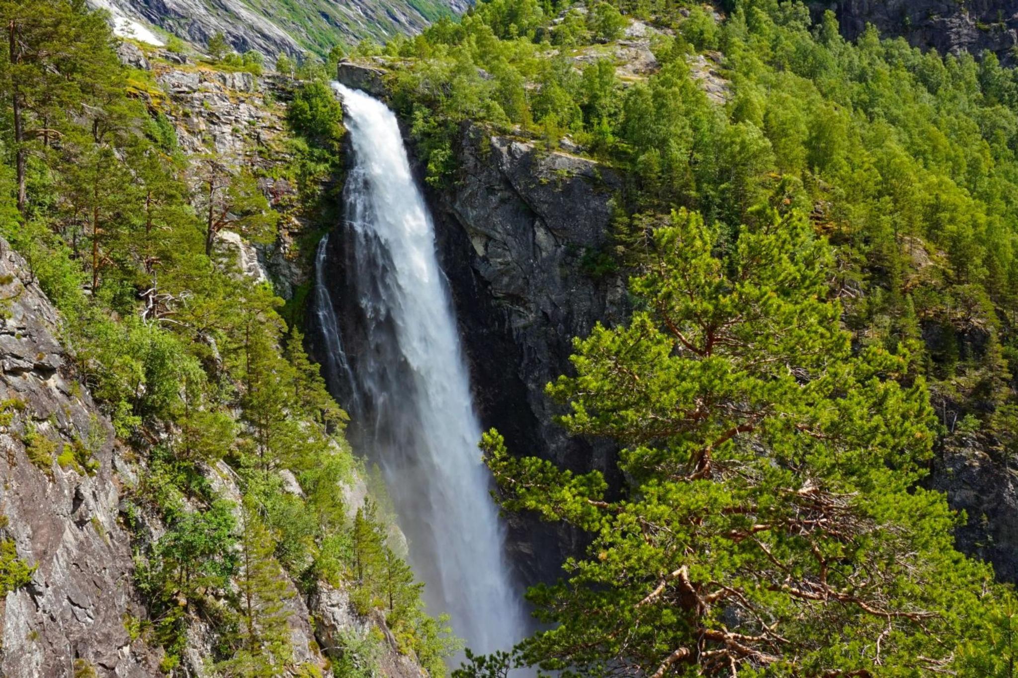 Guided hike to a mountain farm with local lunch