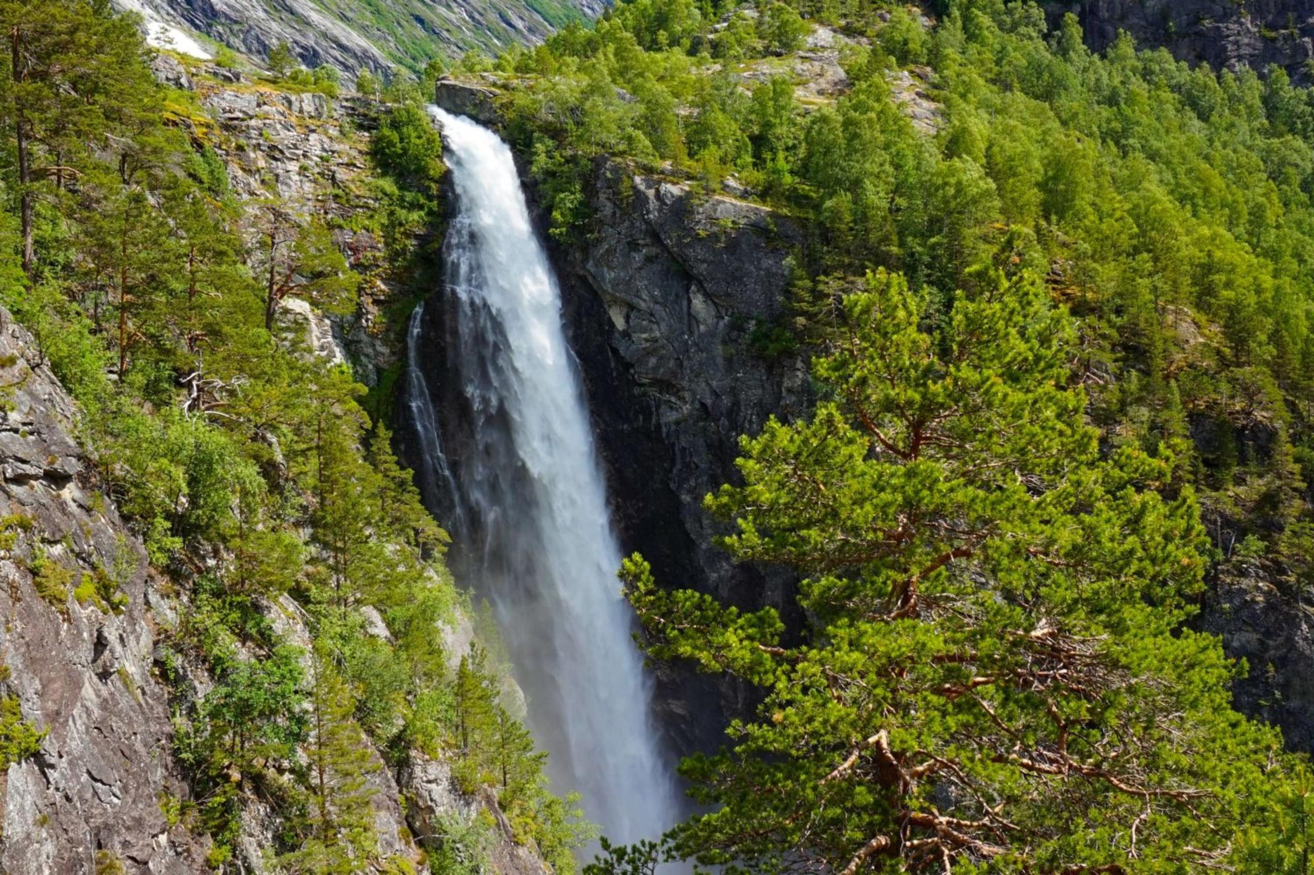 Guided hike to a mountain farm with local lunch