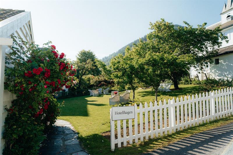 The garden at Utne Hotel with fruit trees, white wicker chairs and red climbing roses behind a picket fence.
