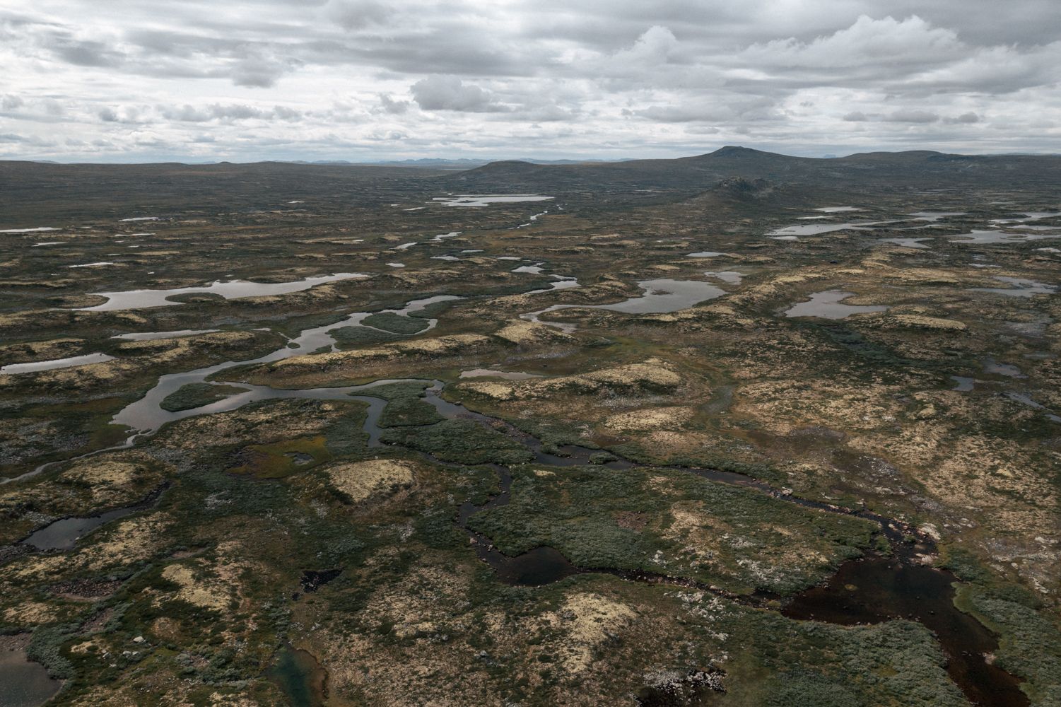 A drone photo of some rivers in the Hardangervidda landscape.