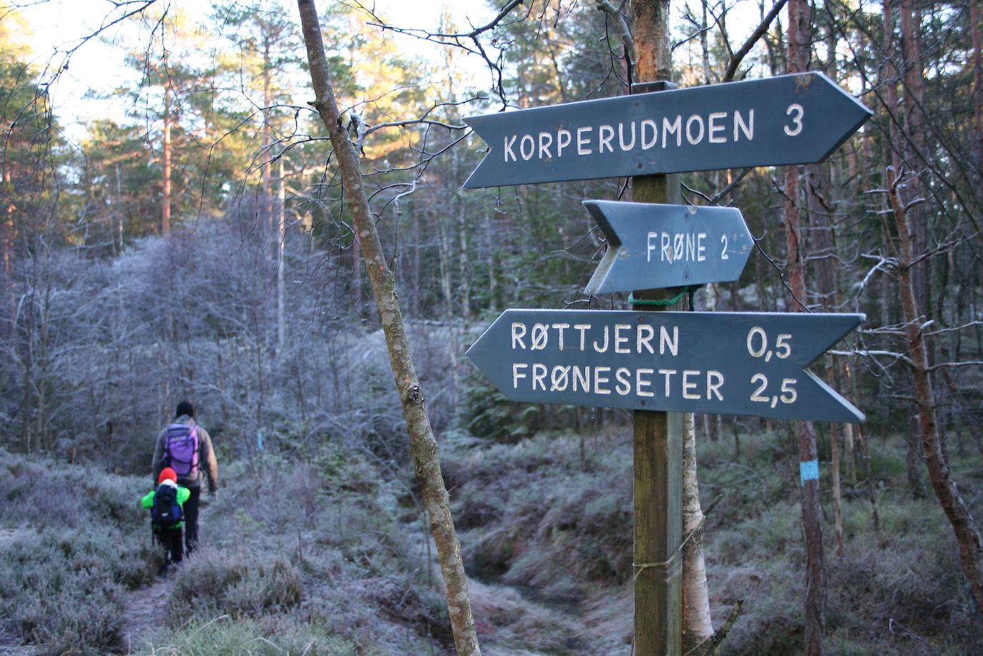 Tur i skogen