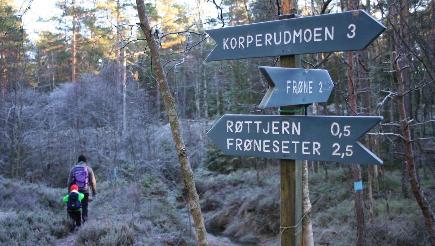Tur i skogen