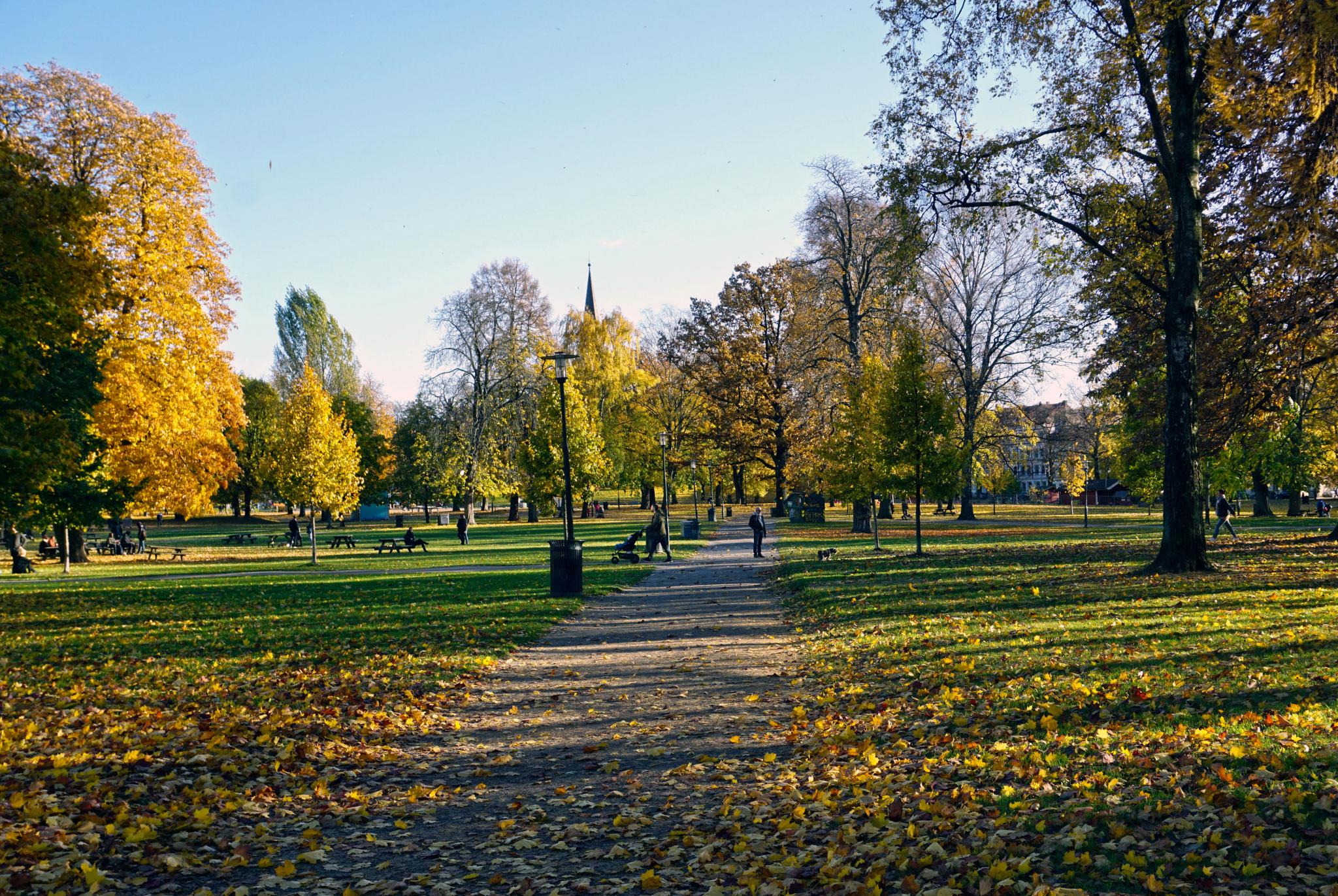 Sofienbergparken during fall 