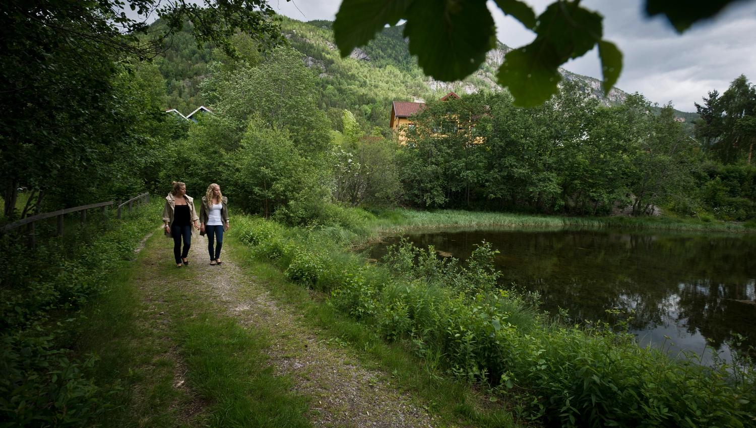 Vandring til sjøormtårnet