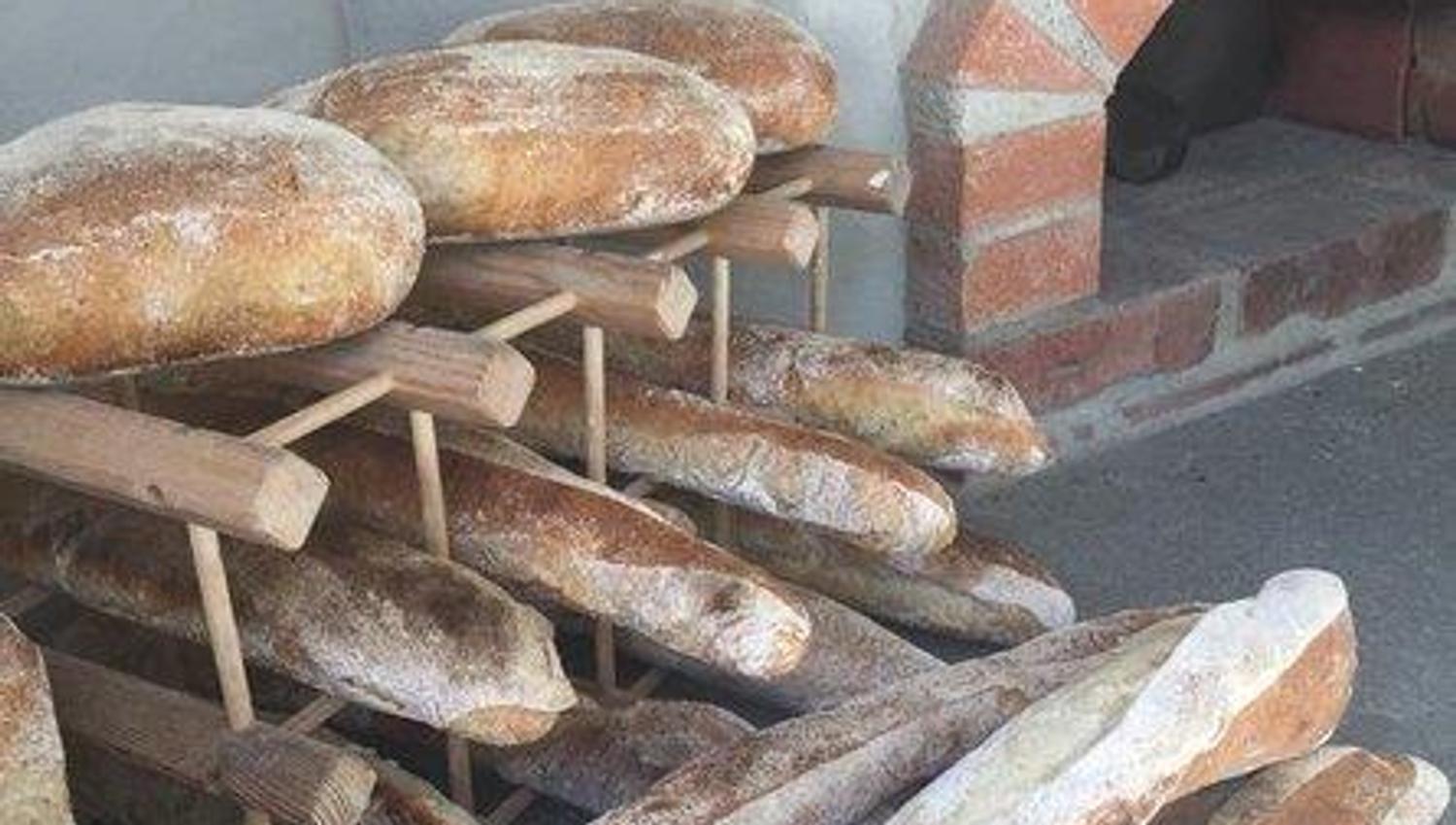Freshly baked loaves are lying in front of the stone oven.