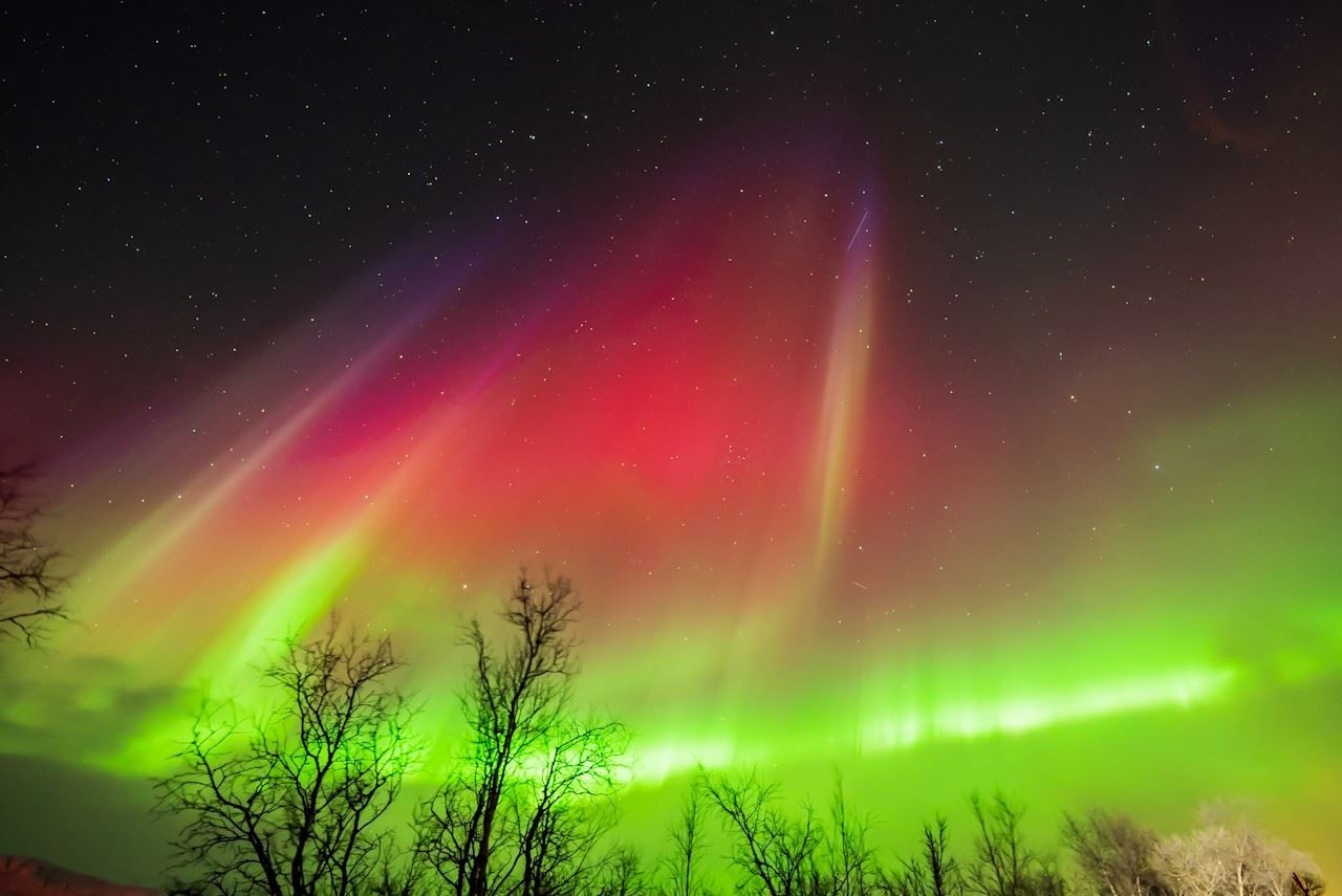 Green and red Northern Lights glow above the trees beneath a clear, starry sky.