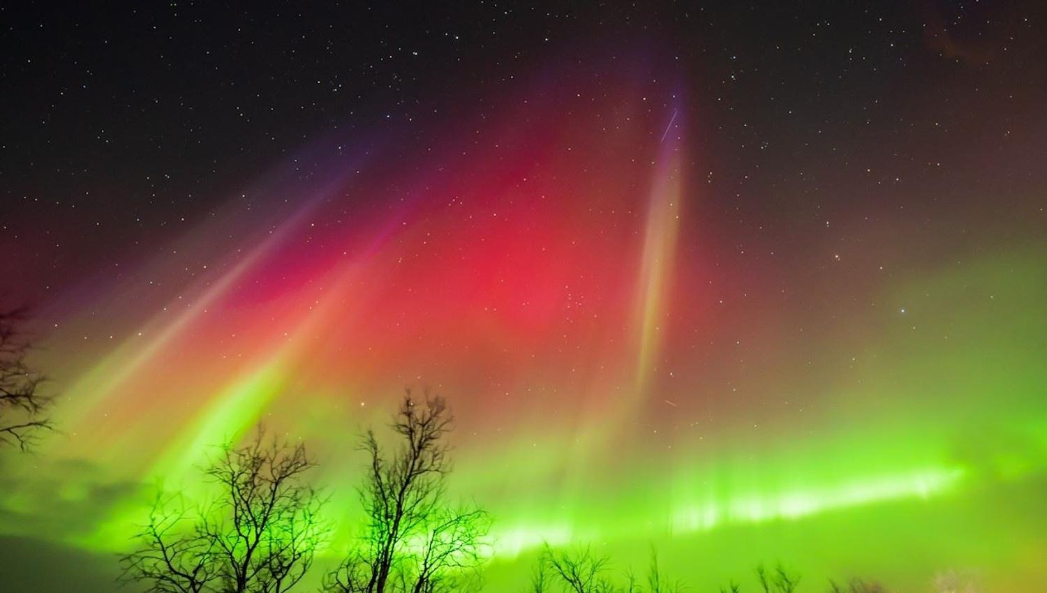 Green and red Northern Lights glow above the trees beneath a clear, starry sky.