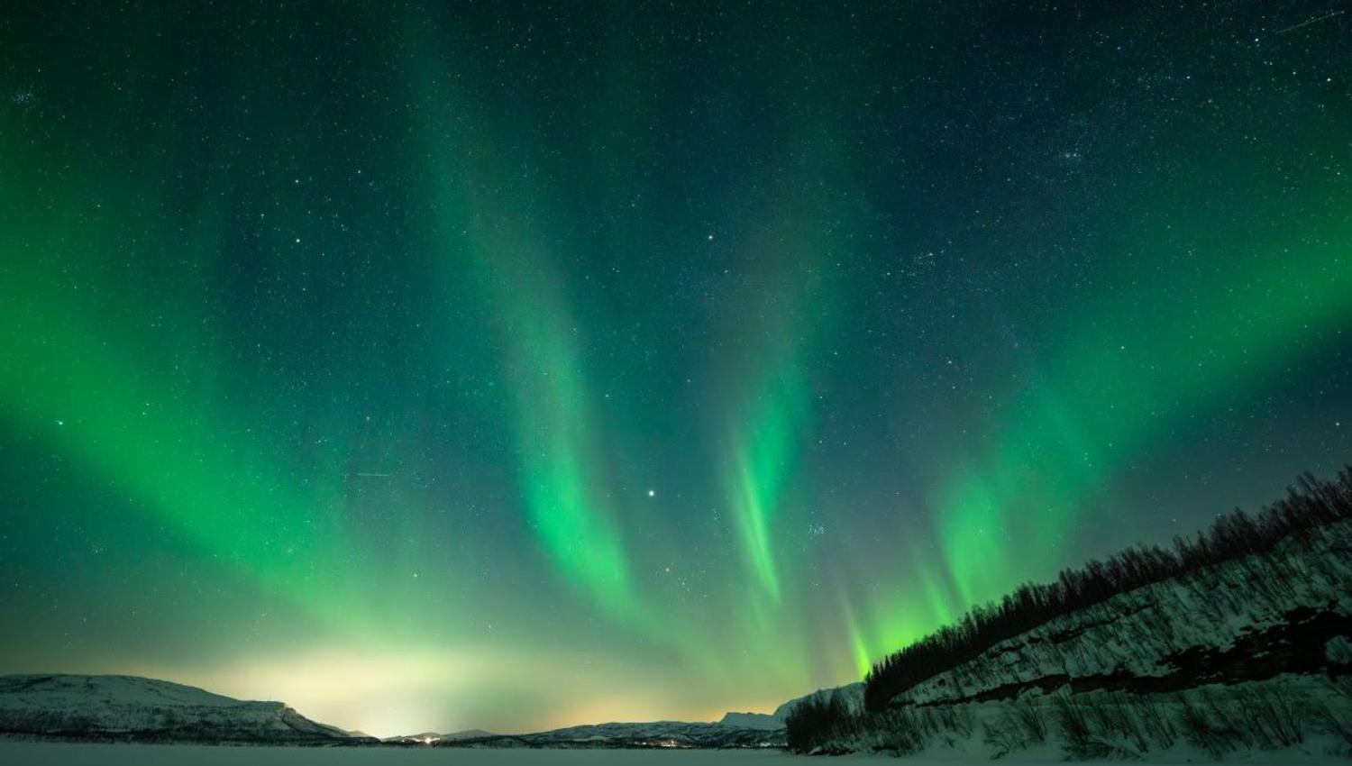 Vibrant green Northern Lights dance across the Arctic night sky above a snowy landscape. The guided Northern Lights chase with Tromsø Arctic Reindeer offers guests the opportunity to witness this natural phenomenon.