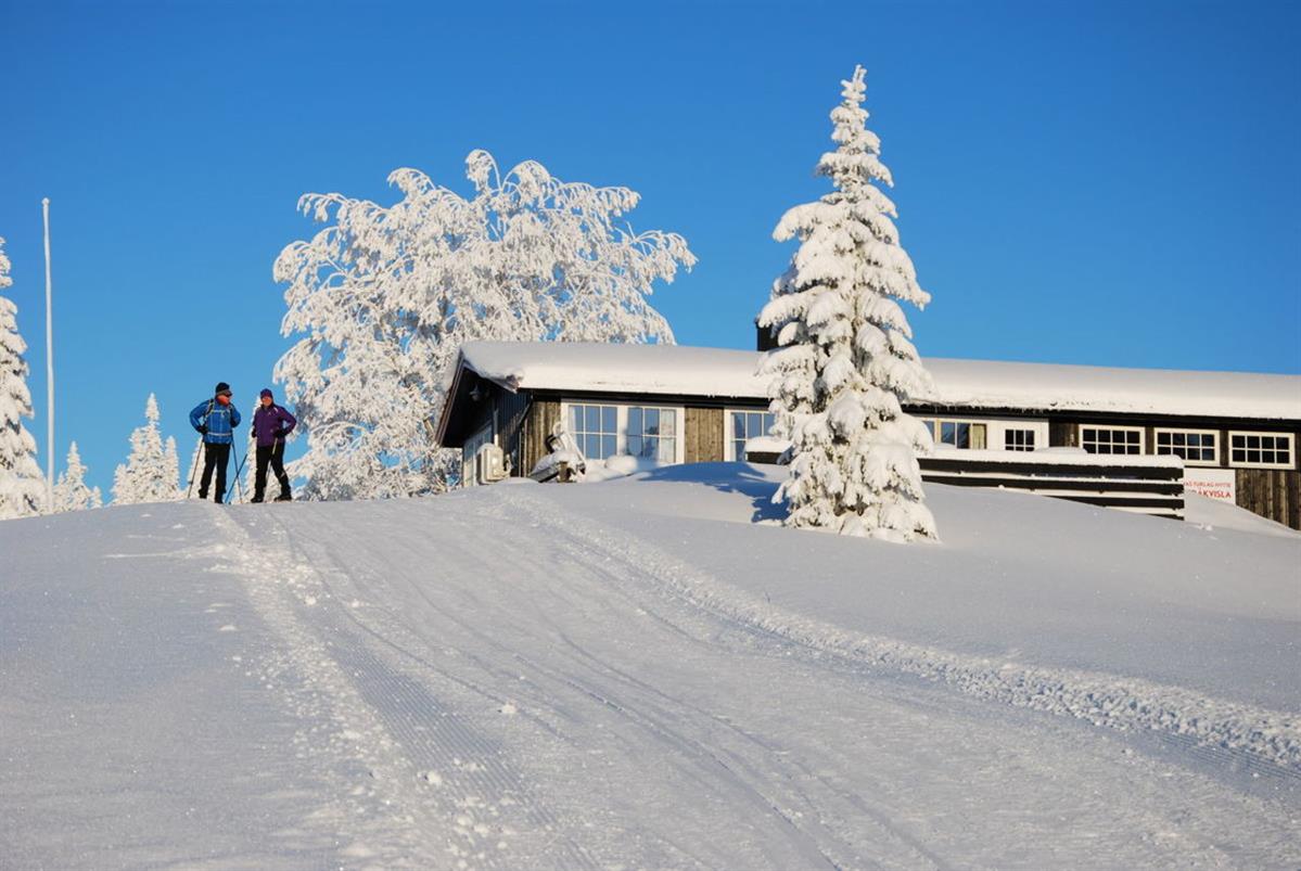 Skiløpere passerer en hytte omgitt av tunge snølagte trær.