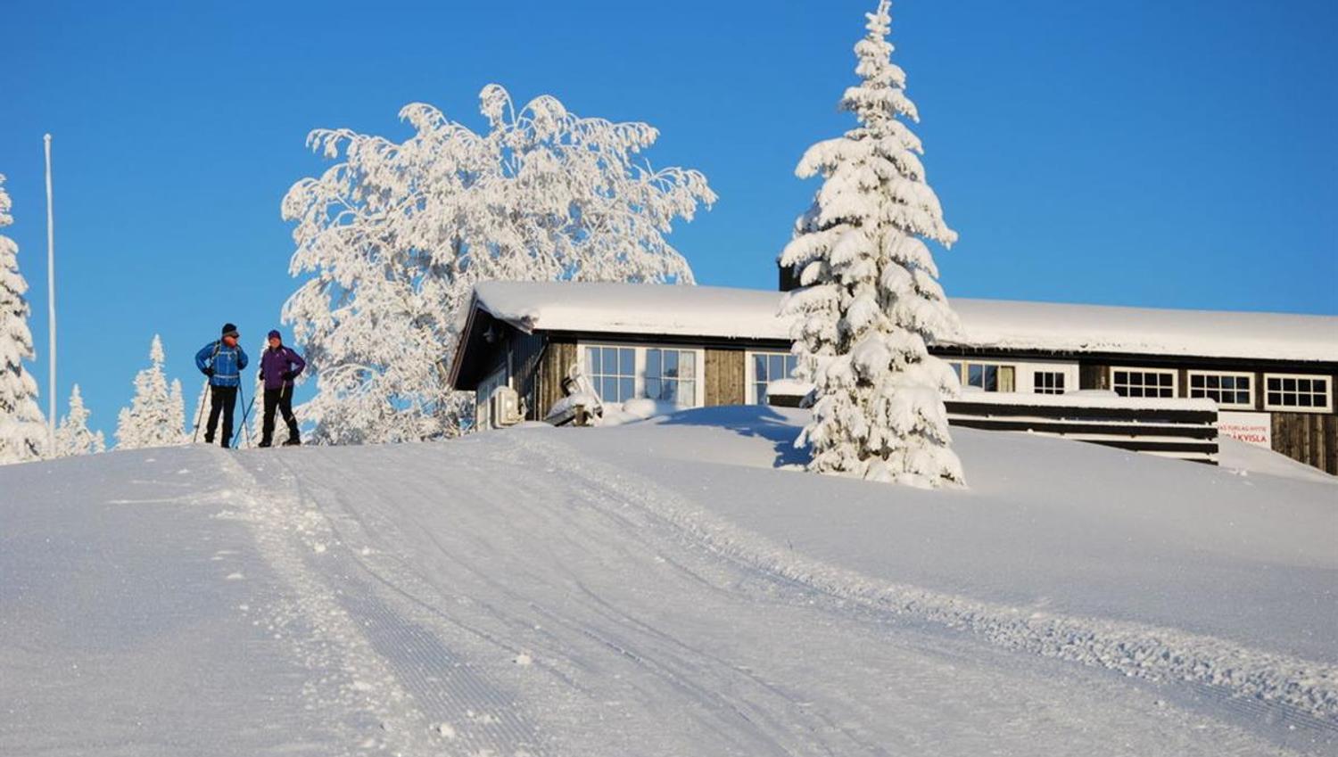 Skiløpere passerer en hytte omgitt av tunge snølagte trær.