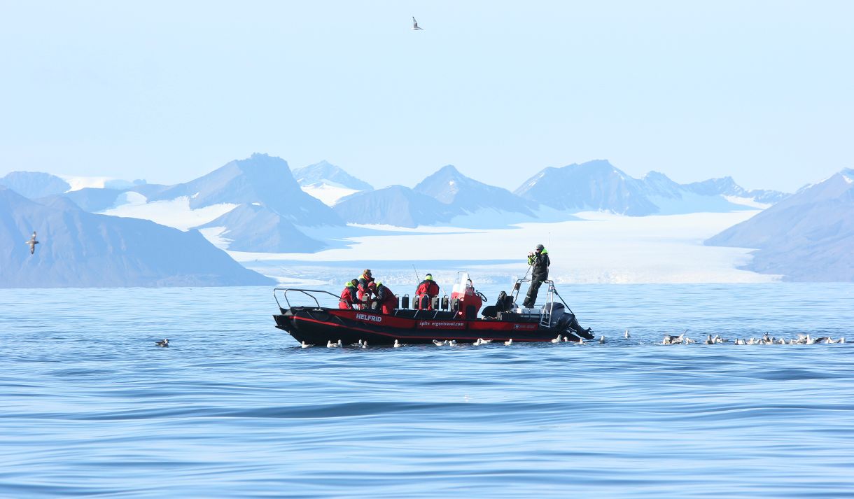 Personer som fisker fra en RIB båt på Isfjorden samtidig som de er omringet av sjøfugler