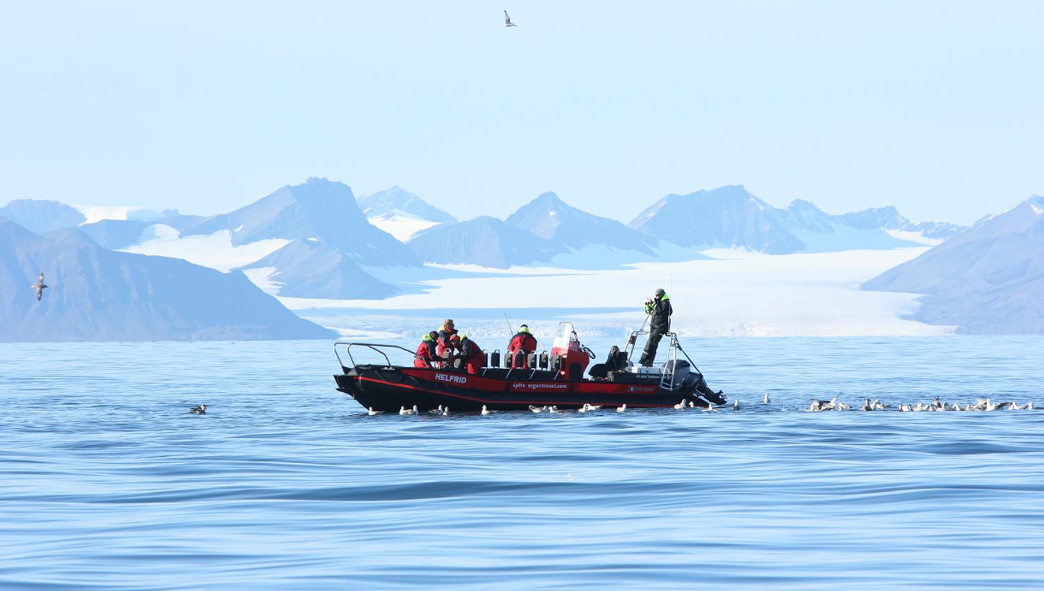 Personer som fisker fra en RIB båt på Isfjorden samtidig som de er omringet av sjøfugler