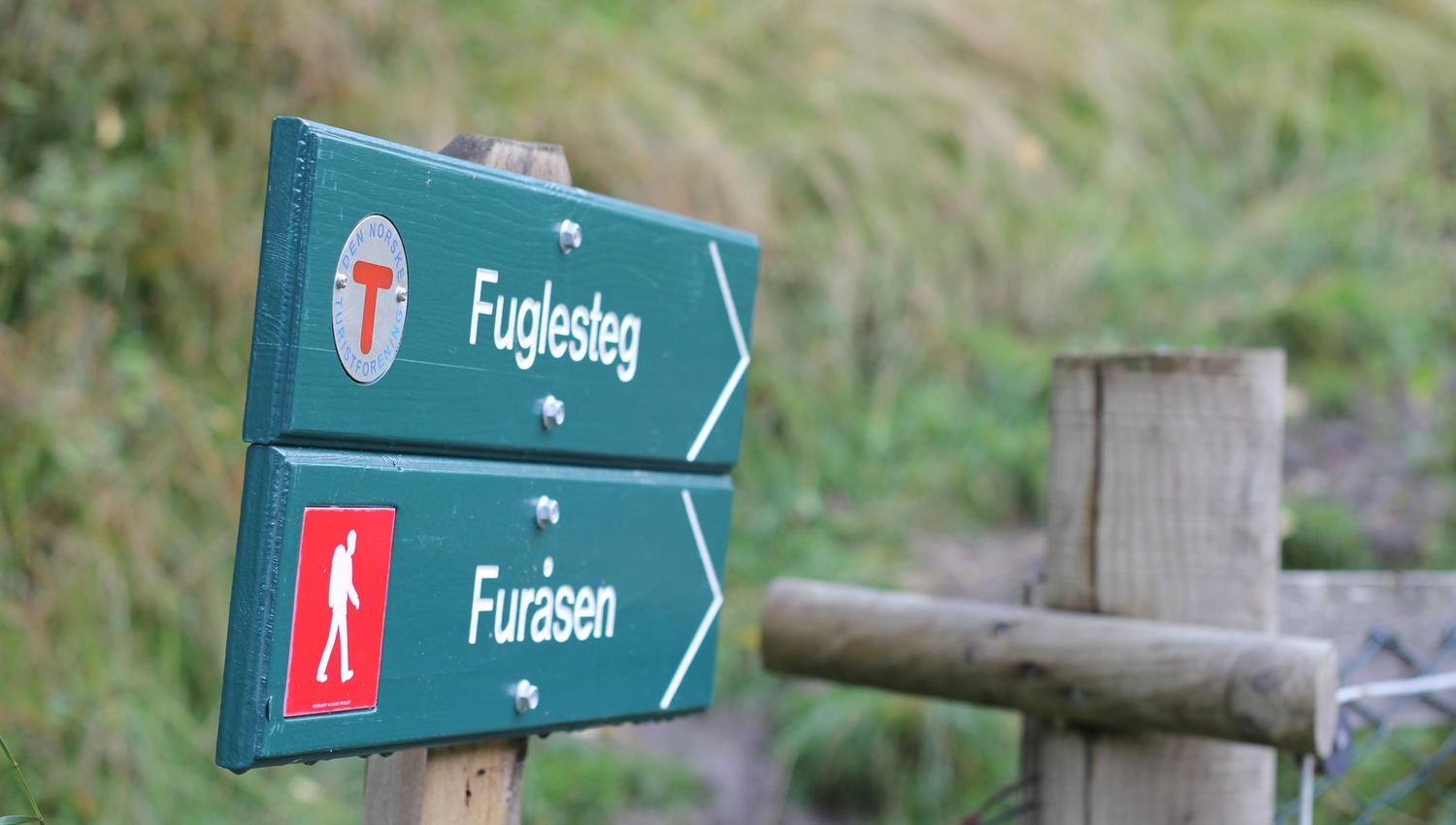 Fuglesteg