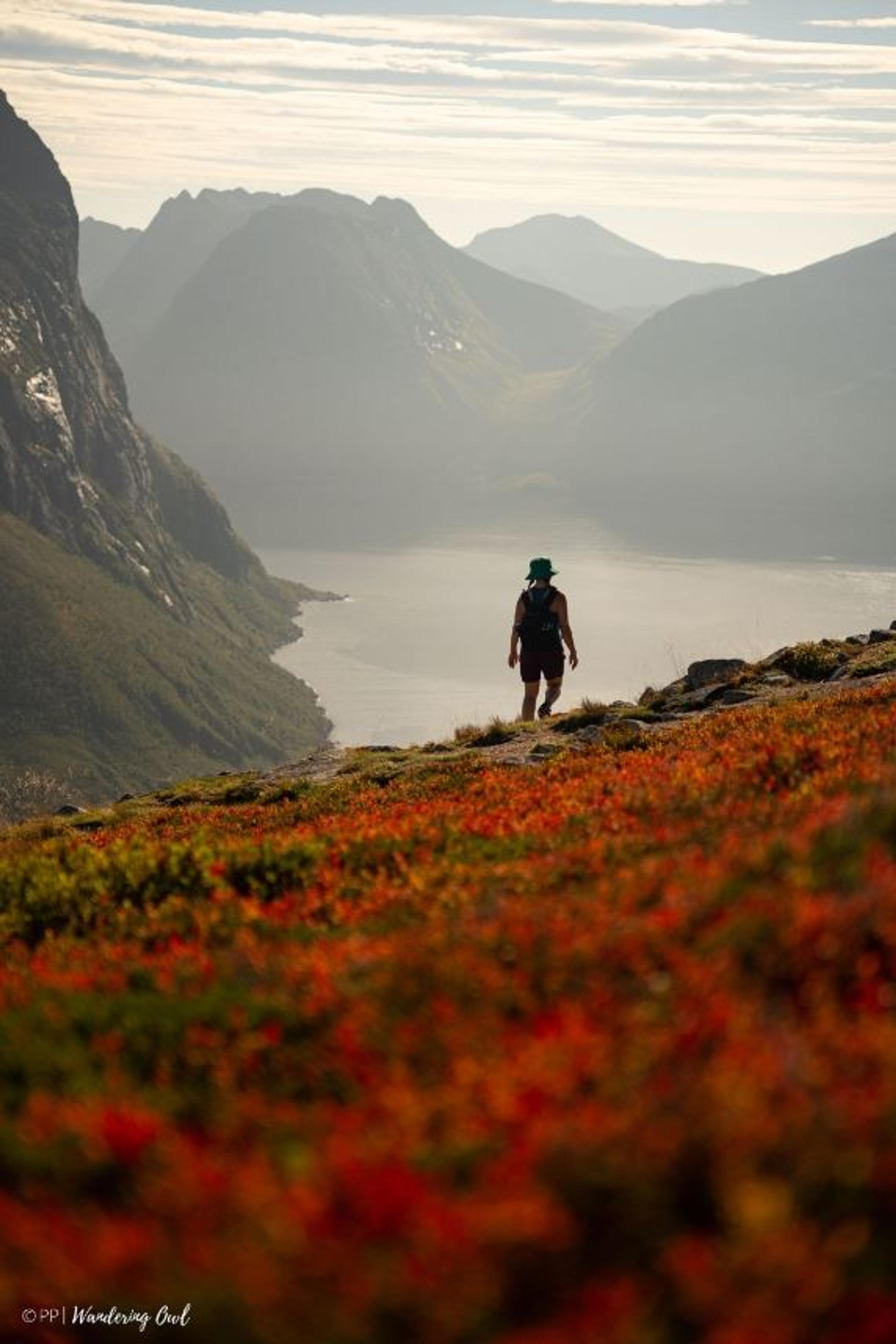 A person looking out over fjords and mountains in summer