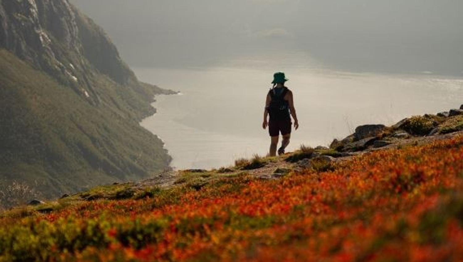 A person looking out over fjords and mountains in summer