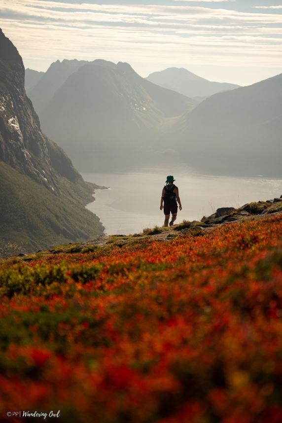 A person looking out over fjords and mountains in summer