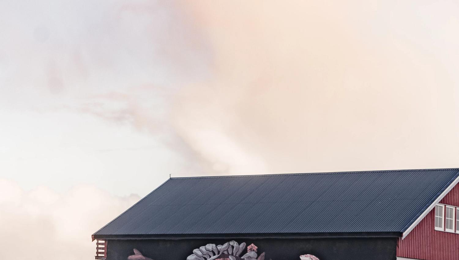 From the up north festival