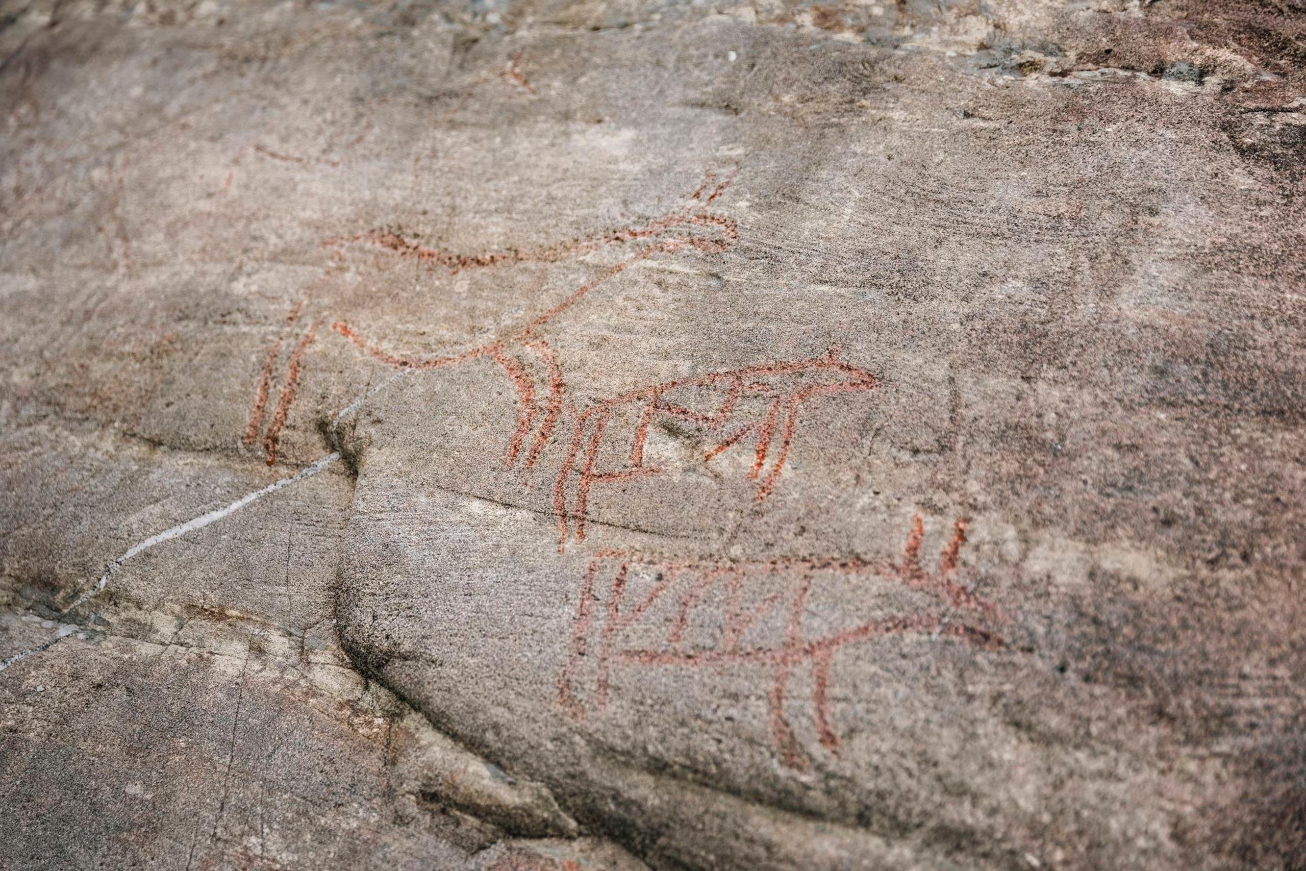 Ancient petroglyphs depicting animals and human figures carved into the rock in Vingen.