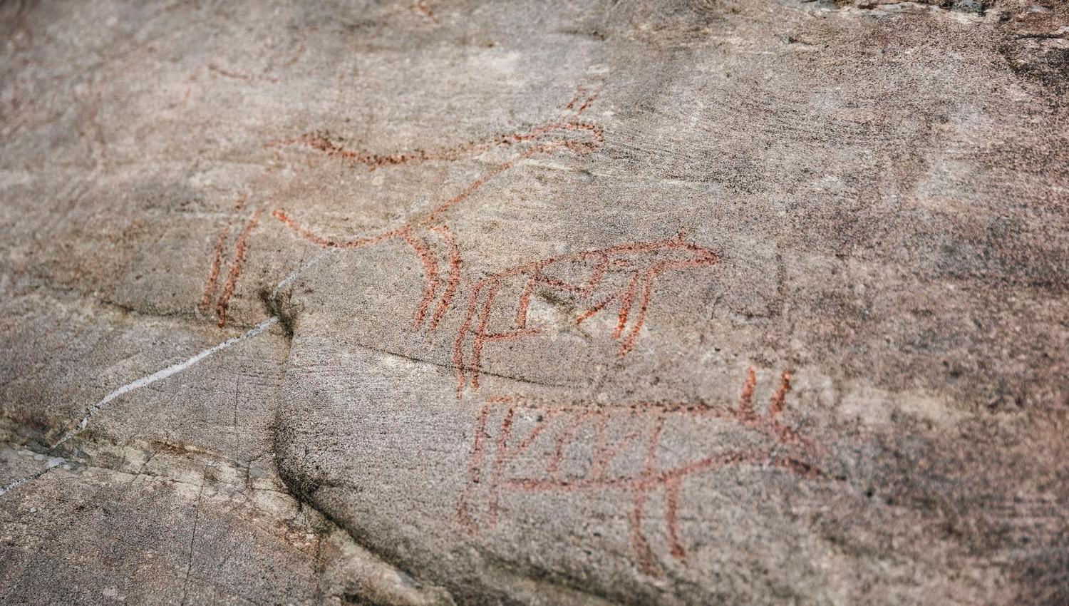 Ancient petroglyphs depicting animals and human figures carved into the rock in Vingen.