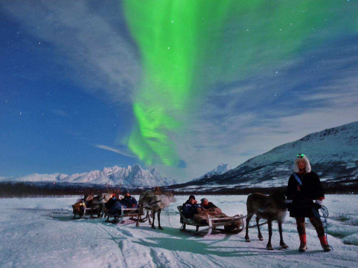 Reindeer and sleds in a snowy winter landscape under the Northern Lights at Tromsø Lapland near Tromsø.