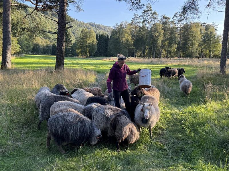Flekkefjord Landhandel