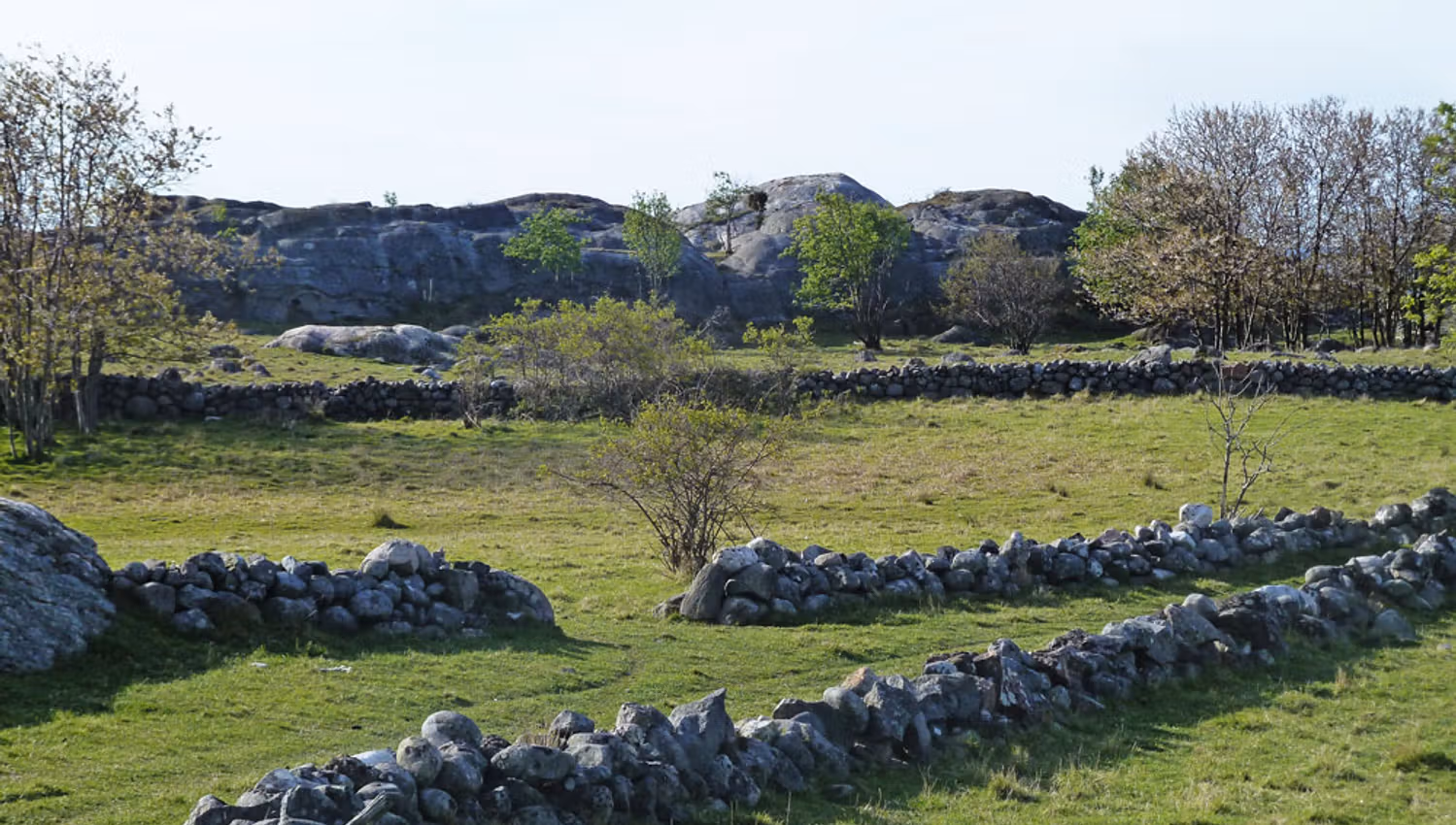 Stonefences at Stråholmen