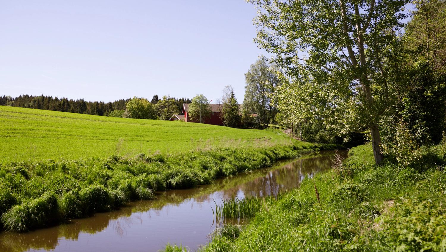 deler av elveløpet