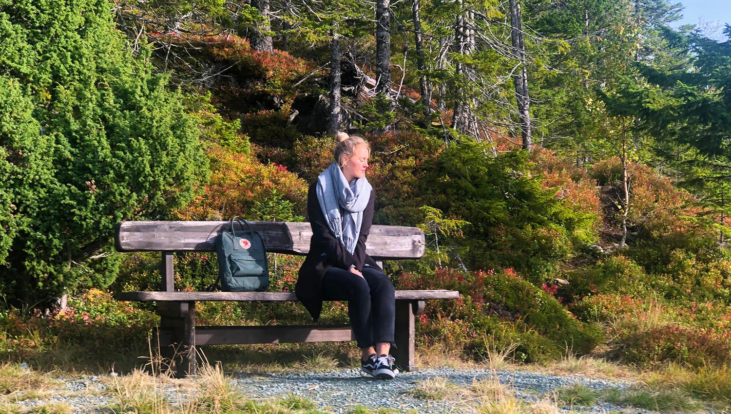 Stokkvola