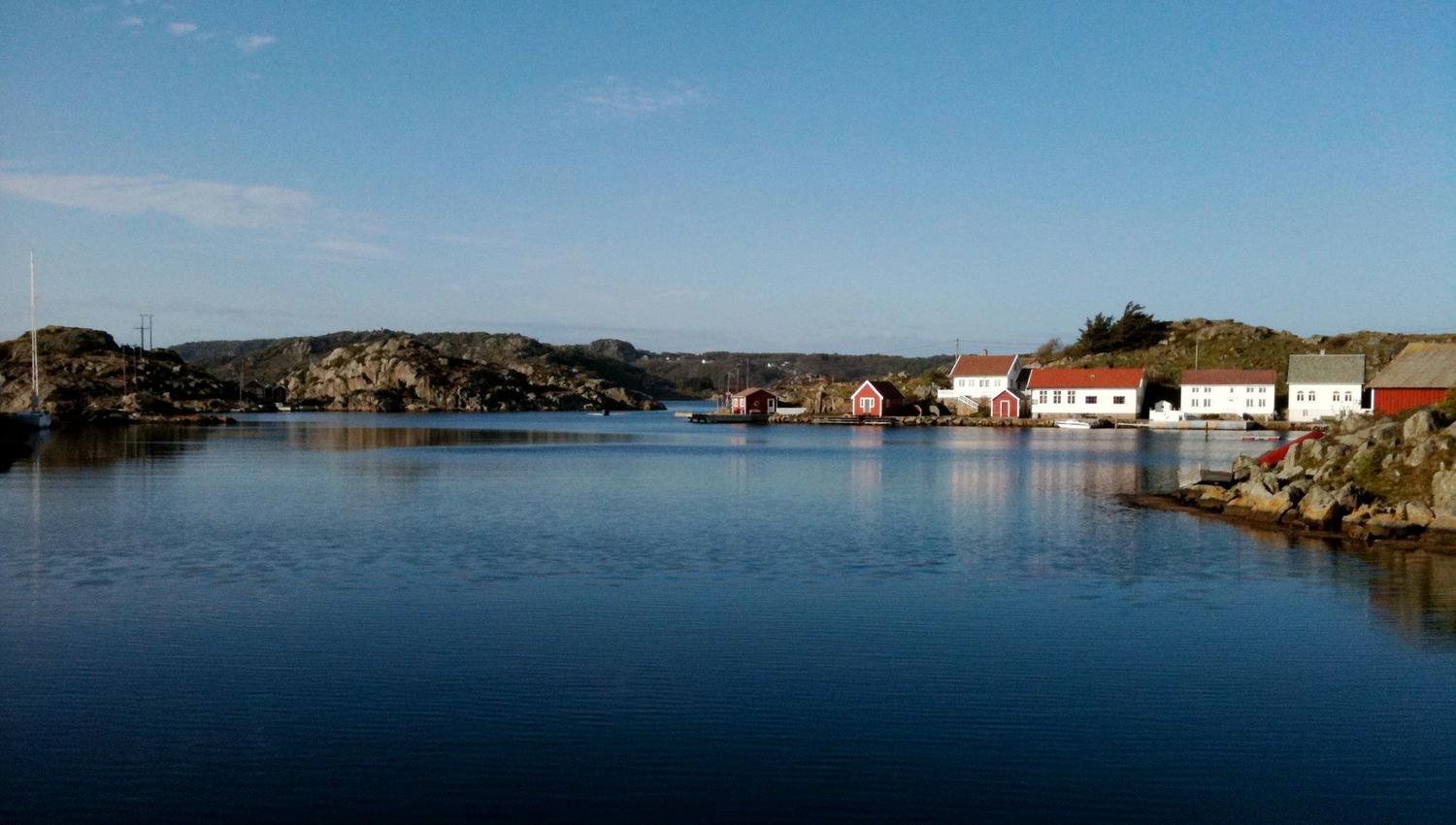 Sælør