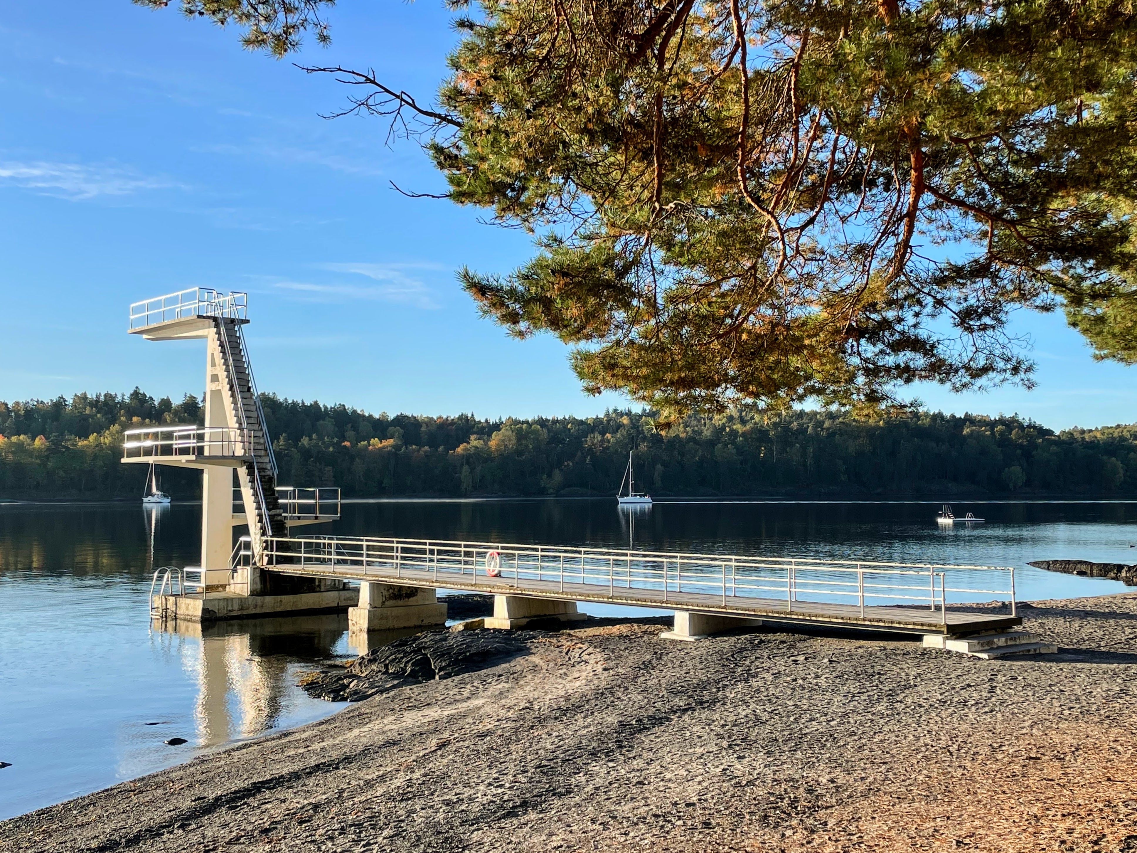 Hvalstrand tower - sea and forest