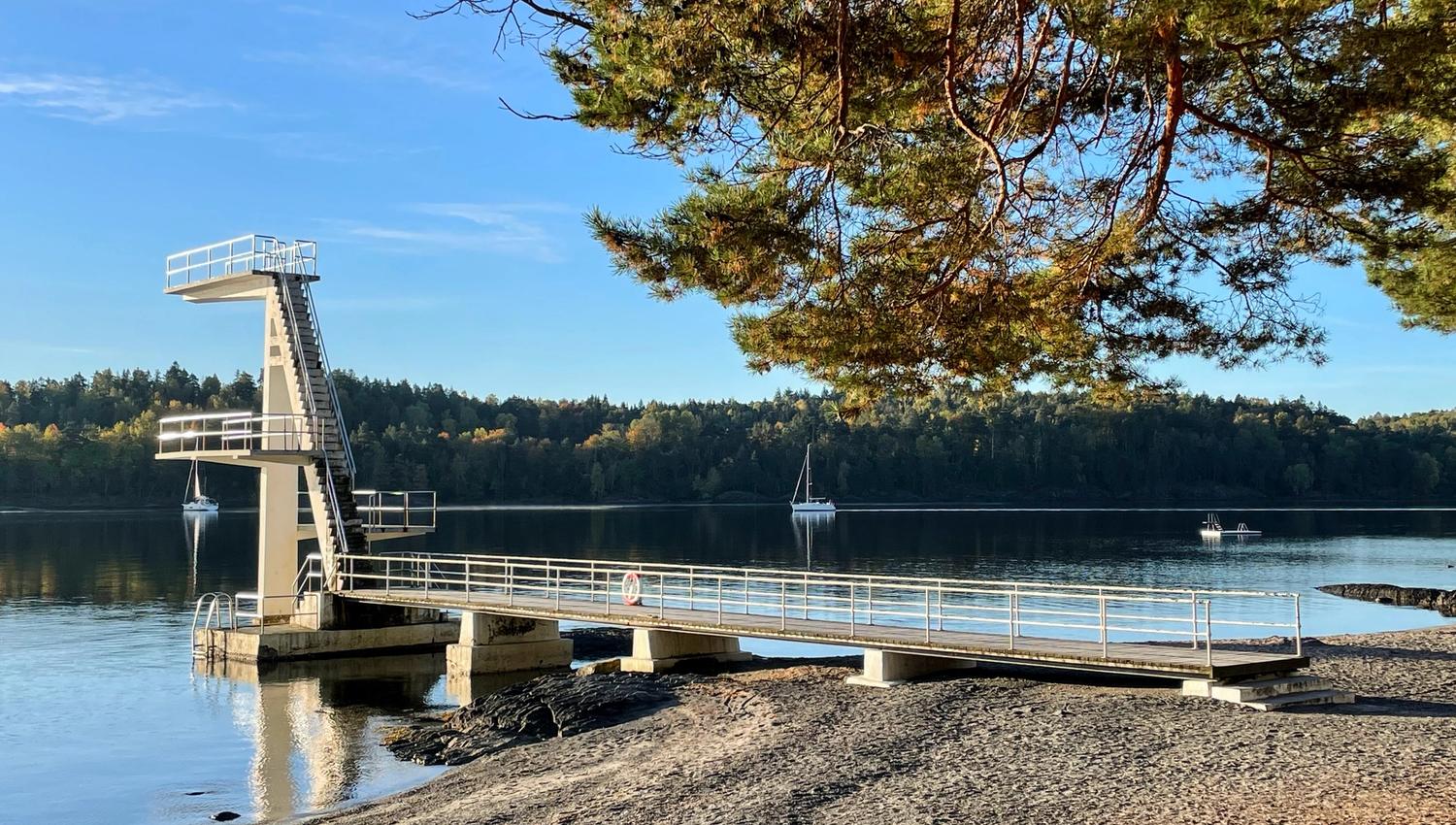Hvalstrand tower - sea and forest