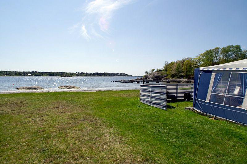 Green grass and sea