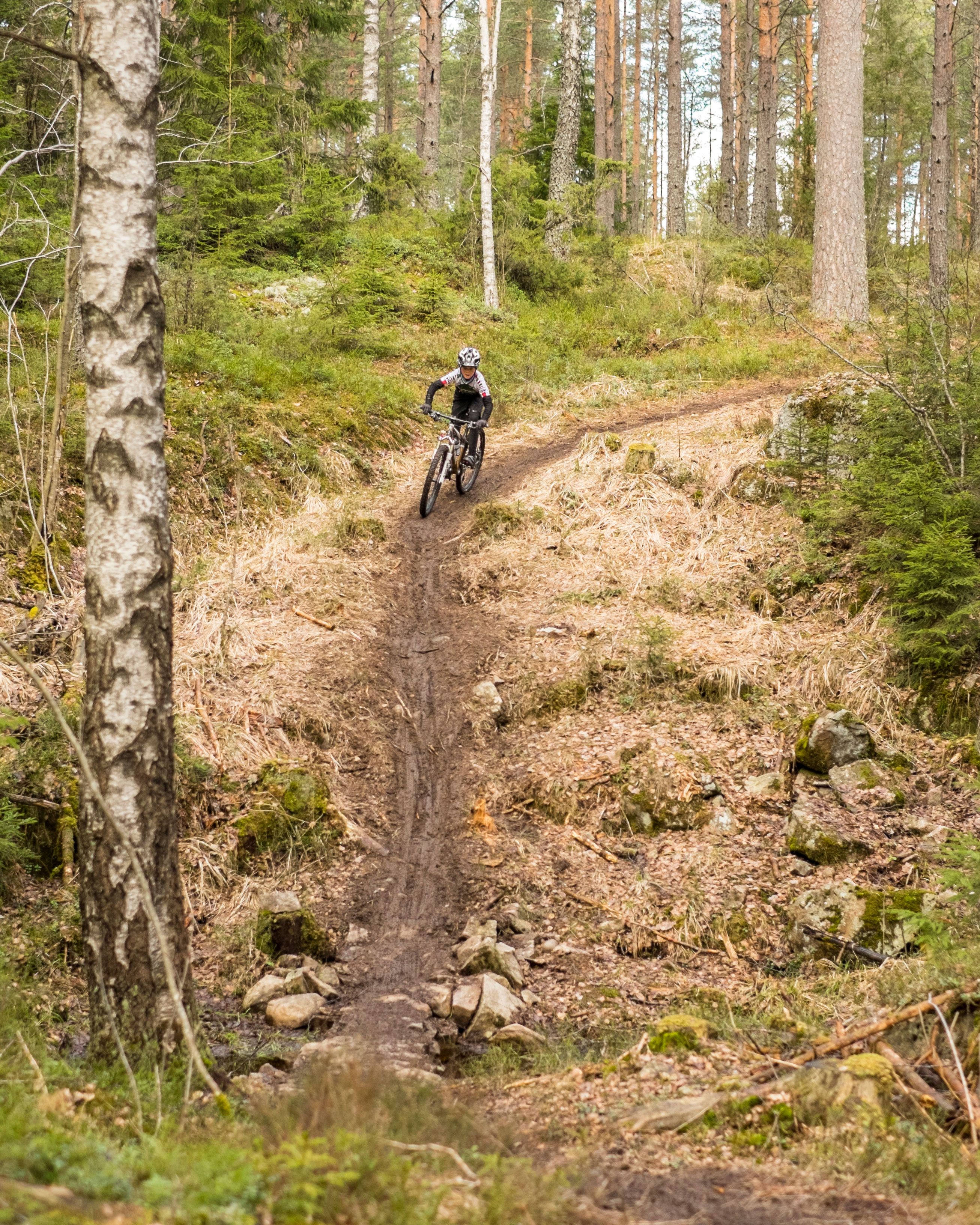 cyclist on a mountain bike in the forest