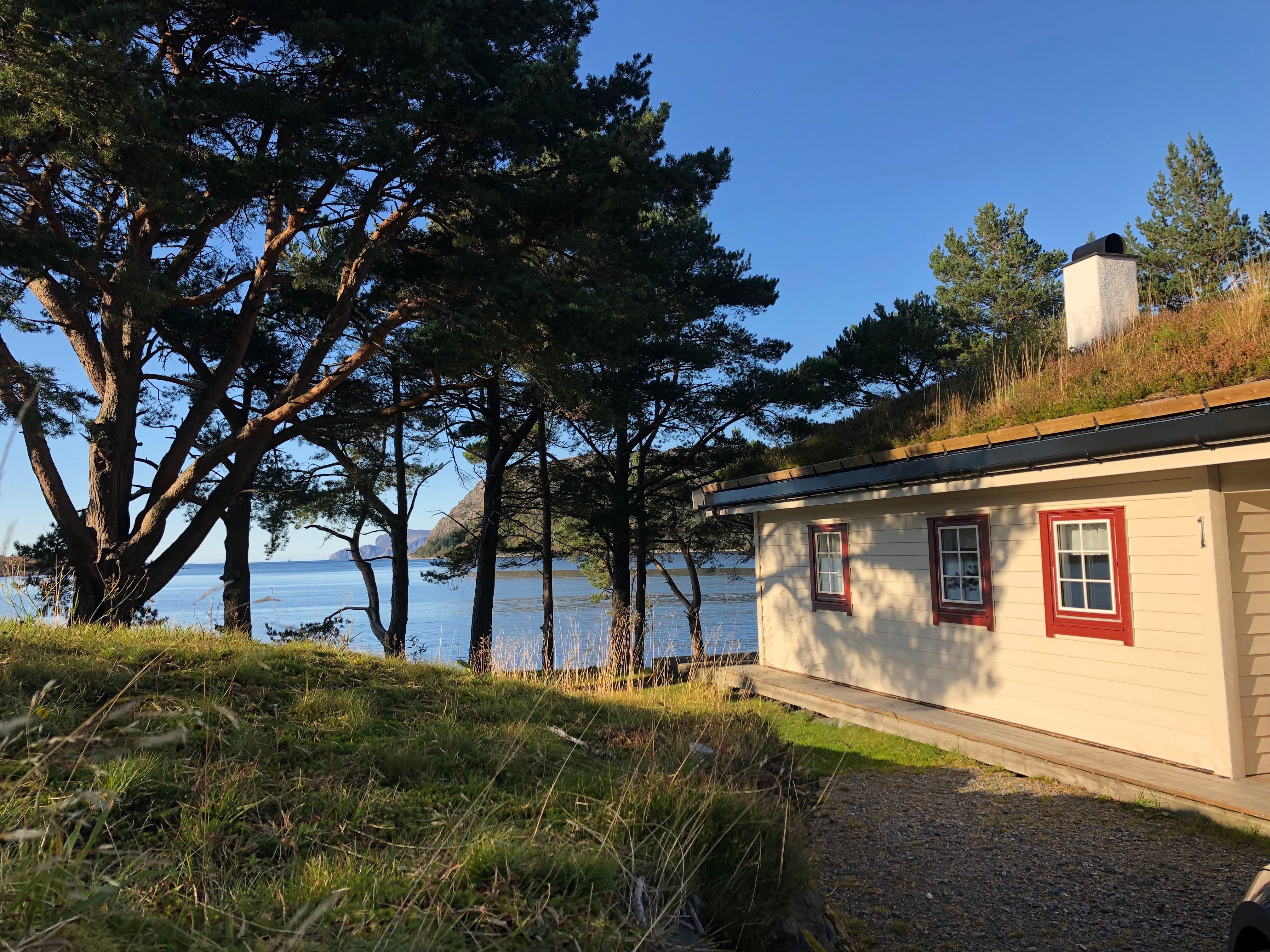 Small light-colored cabin with red-trim windows beside pine trees, overlooking calm blue water under clear sky..