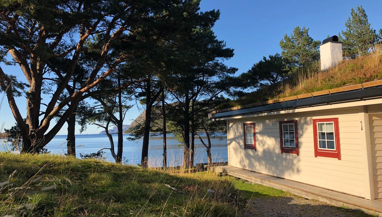 Small light-colored cabin with red-trim windows beside pine trees, overlooking calm blue water under clear sky..