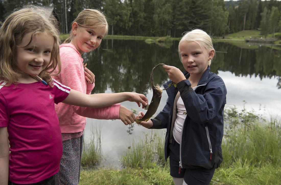 Fisking på Maihaugen
