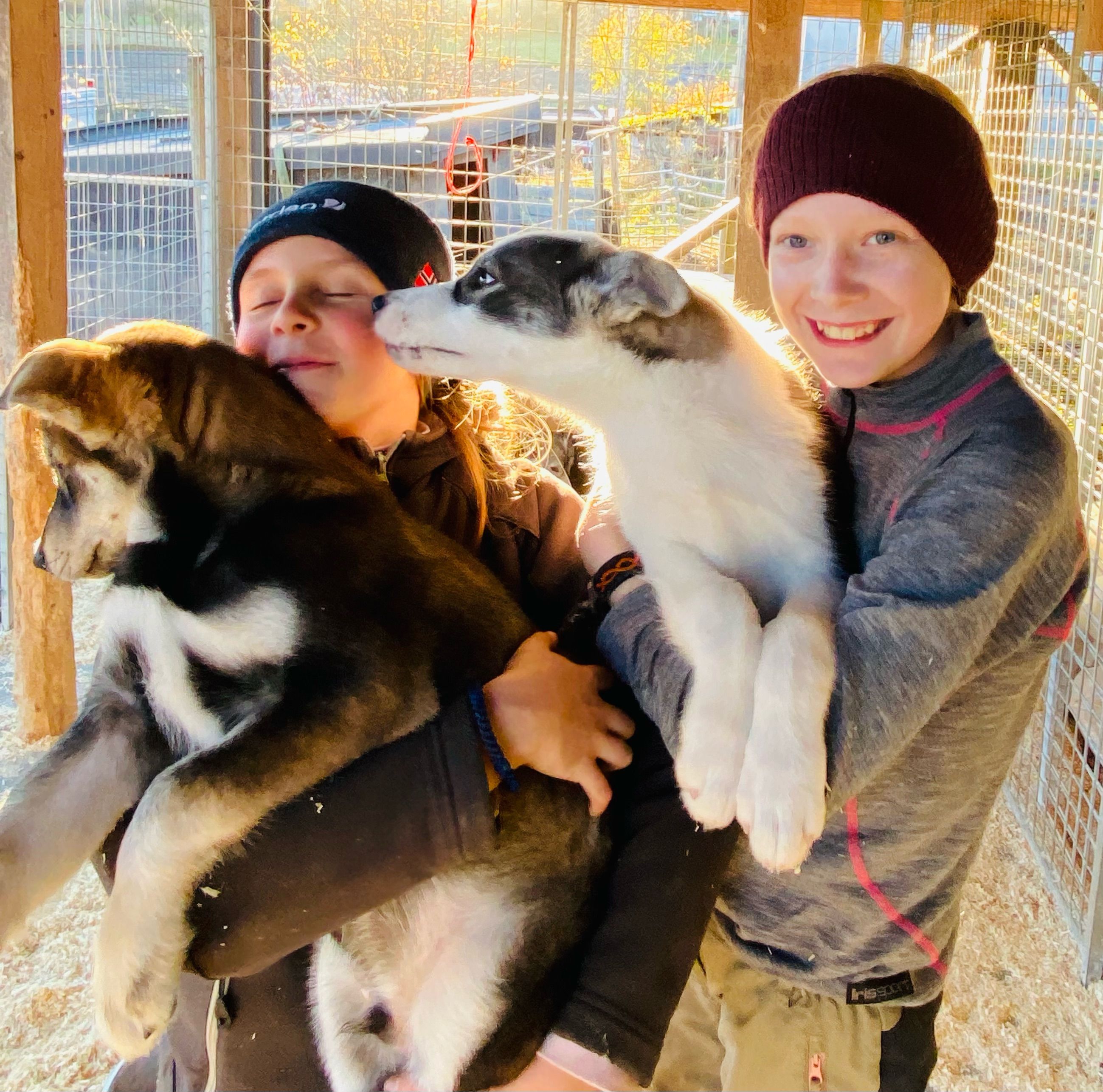 Two boys holding huskies