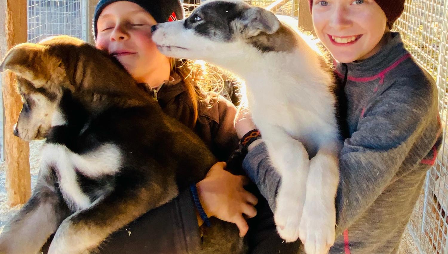 Two boys holding huskies
