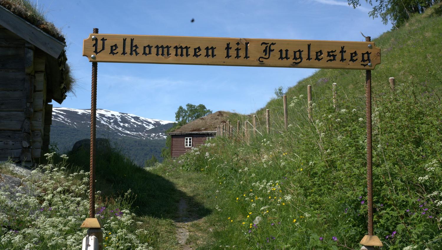 Fuglesteg