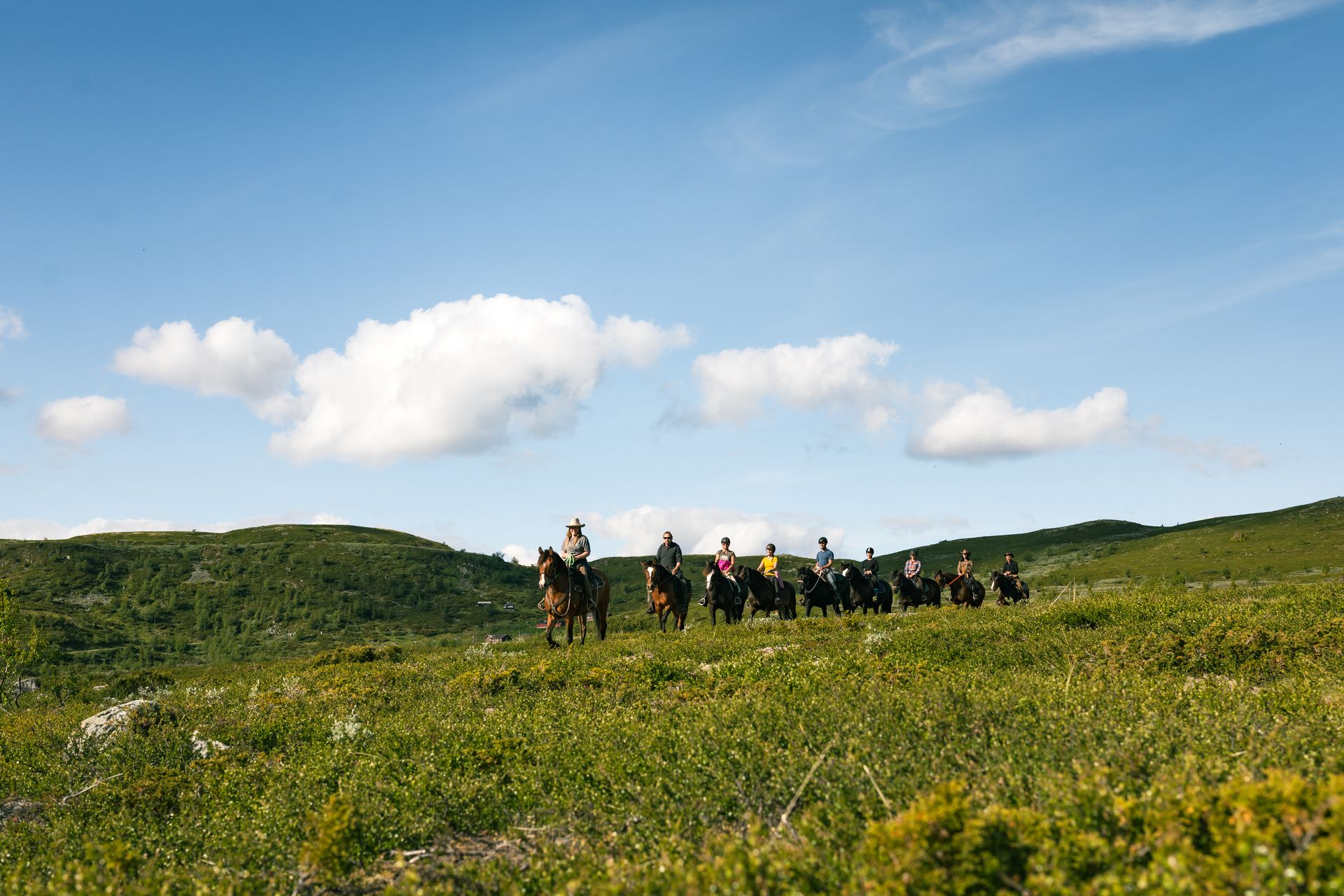 On a horseback riding tour into the mountains, surrounded by green landscapes and blue sky 