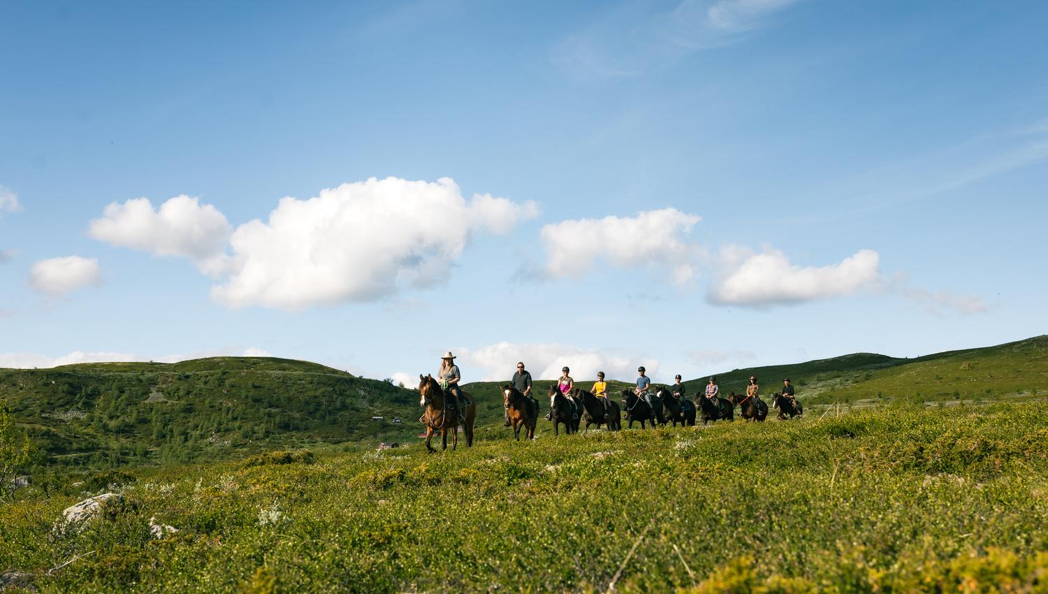On a horseback riding tour into the mountains, surrounded by green landscapes and blue sky
