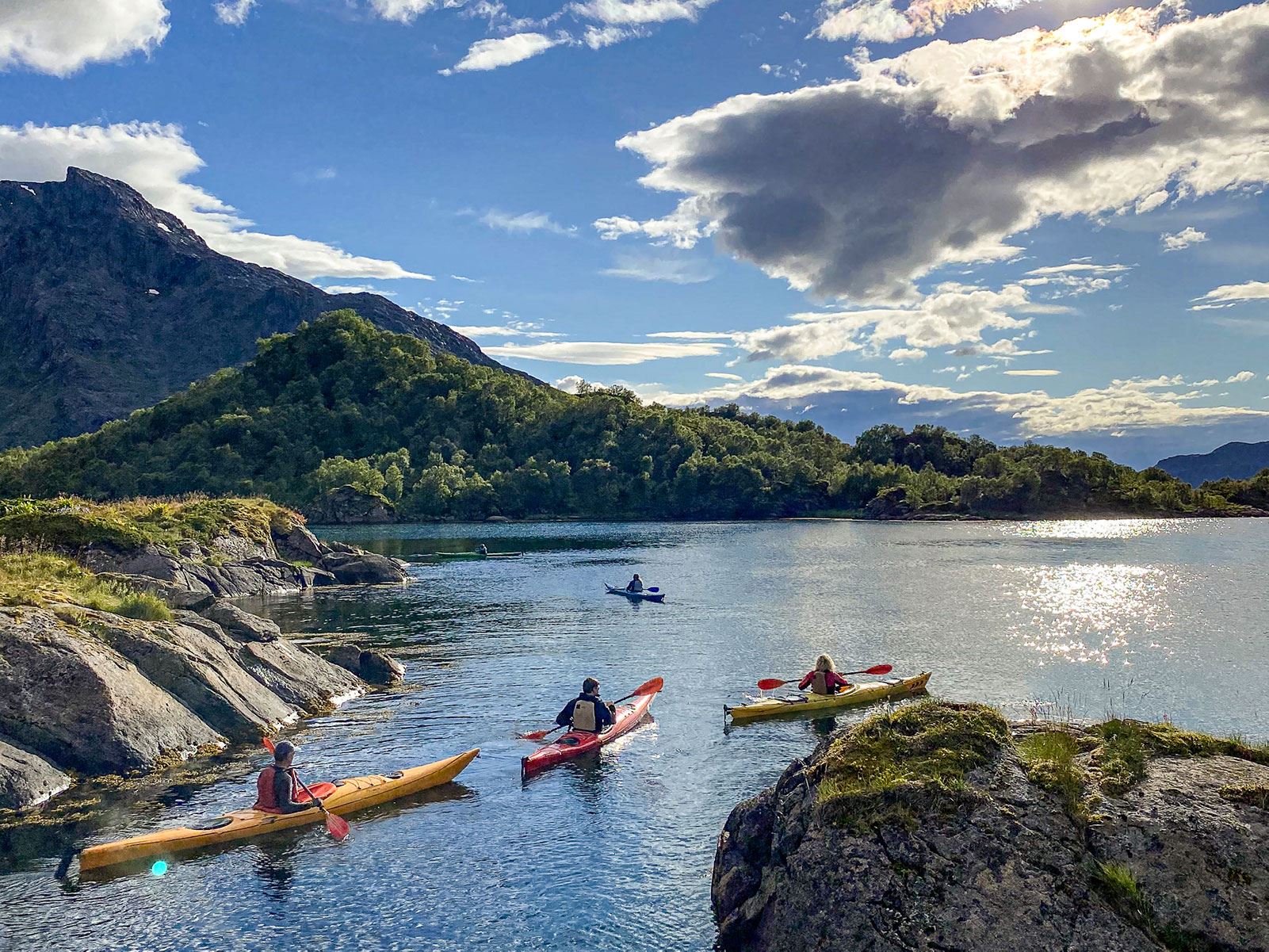 Guided Kayak Tour - See Vesterålen