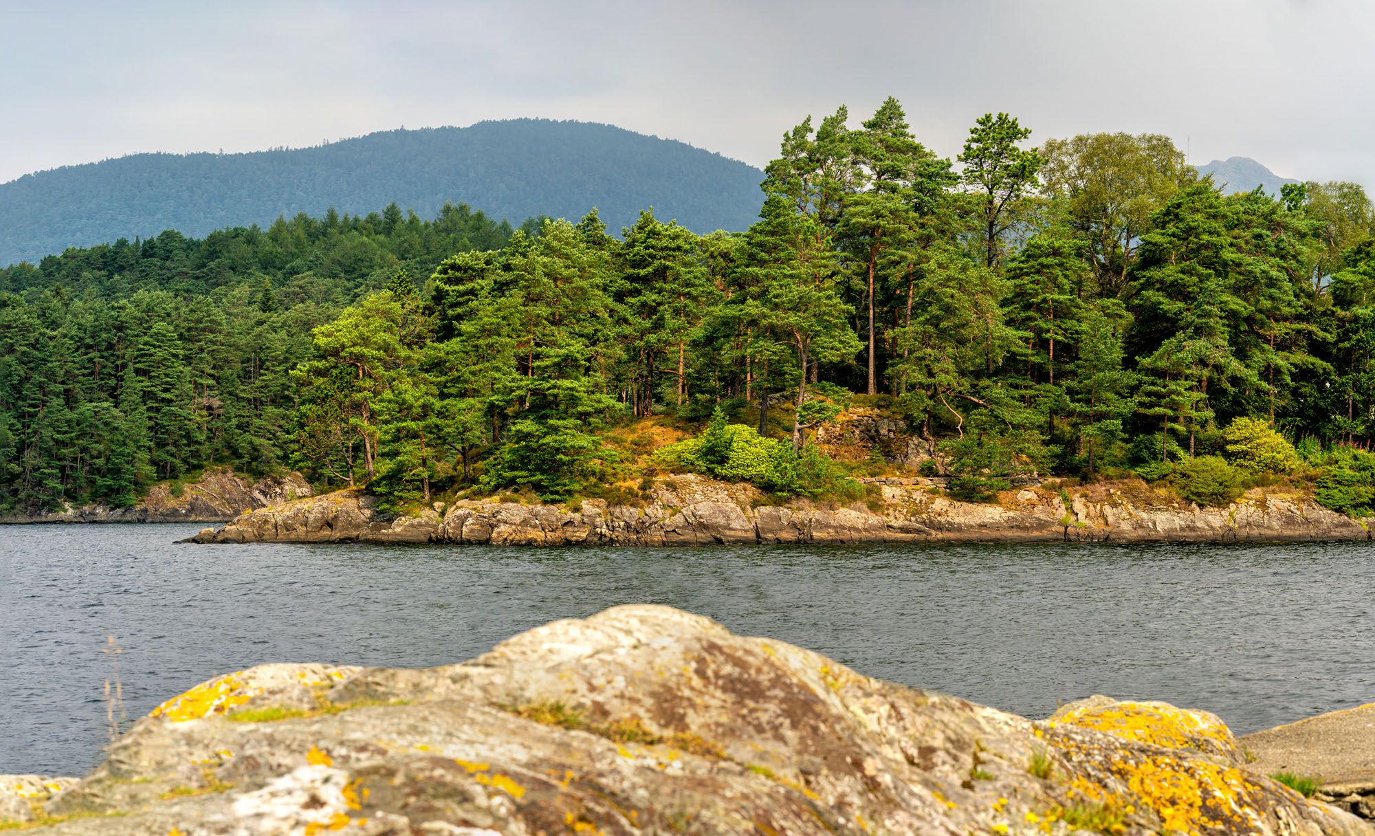 Exclusive Coast & Celebrity Cruise
