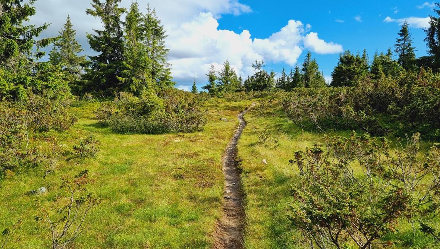 Narrow path through green terrain under blue sky
