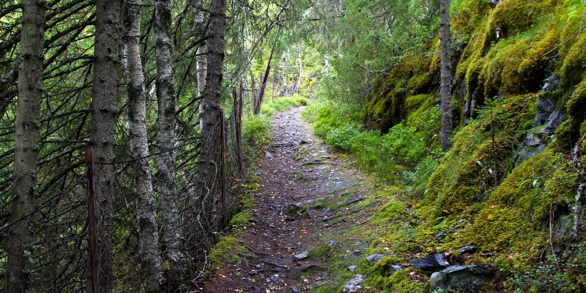 Trails to De Værdalske Befestninger