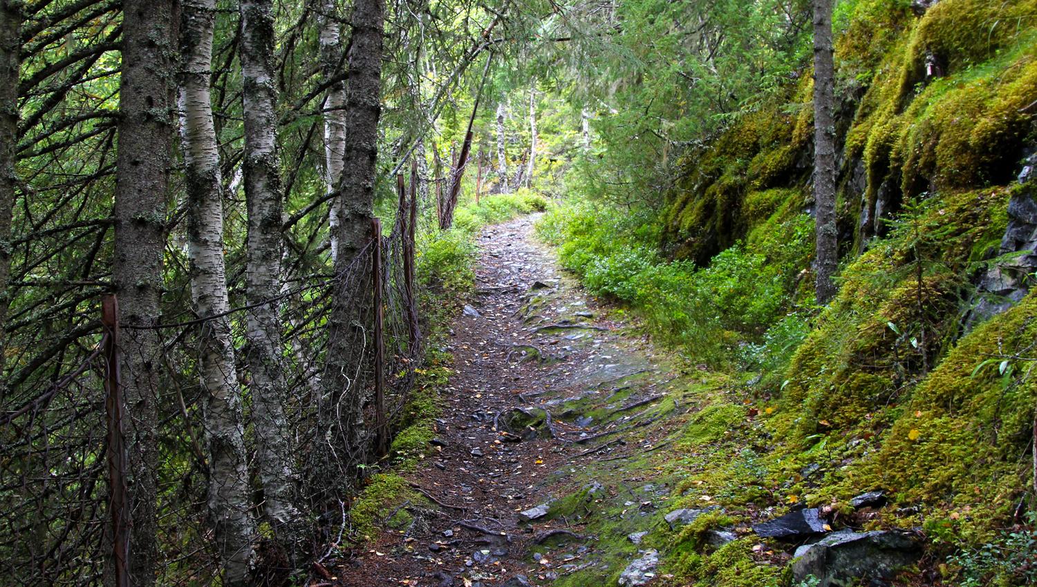 Trails to De Værdalske Befestninger